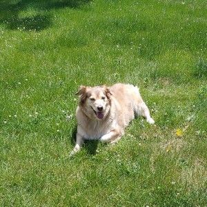 Meet your Posher, Lynn